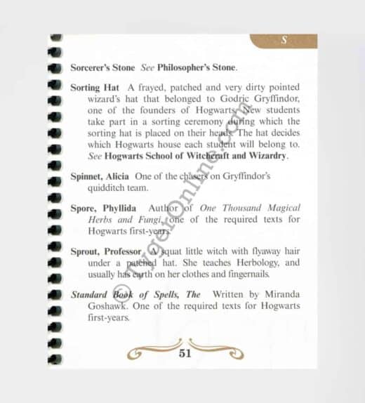 Definitive Harry Potter Guide Series 1 - Philosopher's Stone: by Marie Lesoway (Author)